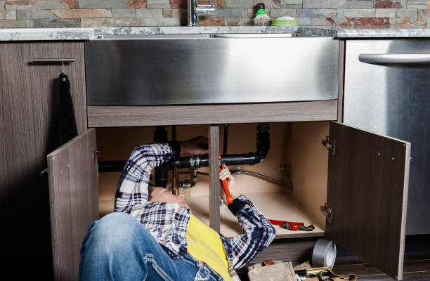 Best Commercial Plumbing Services  in Apple Valley, MN