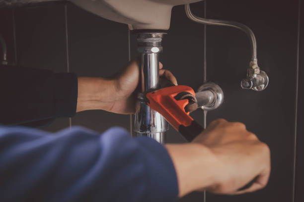Best Leak Detection Services  in Apple Valley, MN